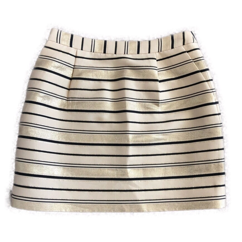 J. Crew Skirt